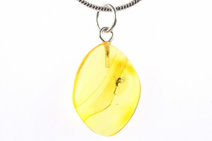 Polished Baltic Amber Pendant (Necklace) - Contains Fly! #273756